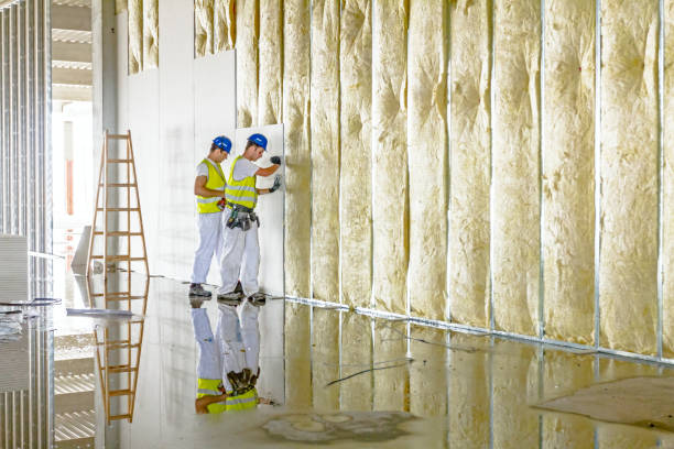 Best Insulation Maintenance and Repair in Golden Valley, AZ